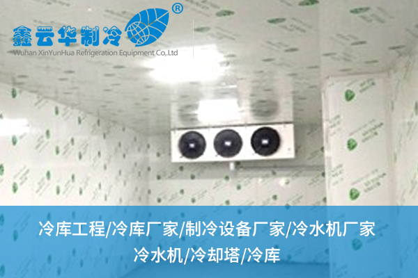 湖北走進(jìn)冷凍機(jī)廠家：定制服務(wù)滿足您的需求？